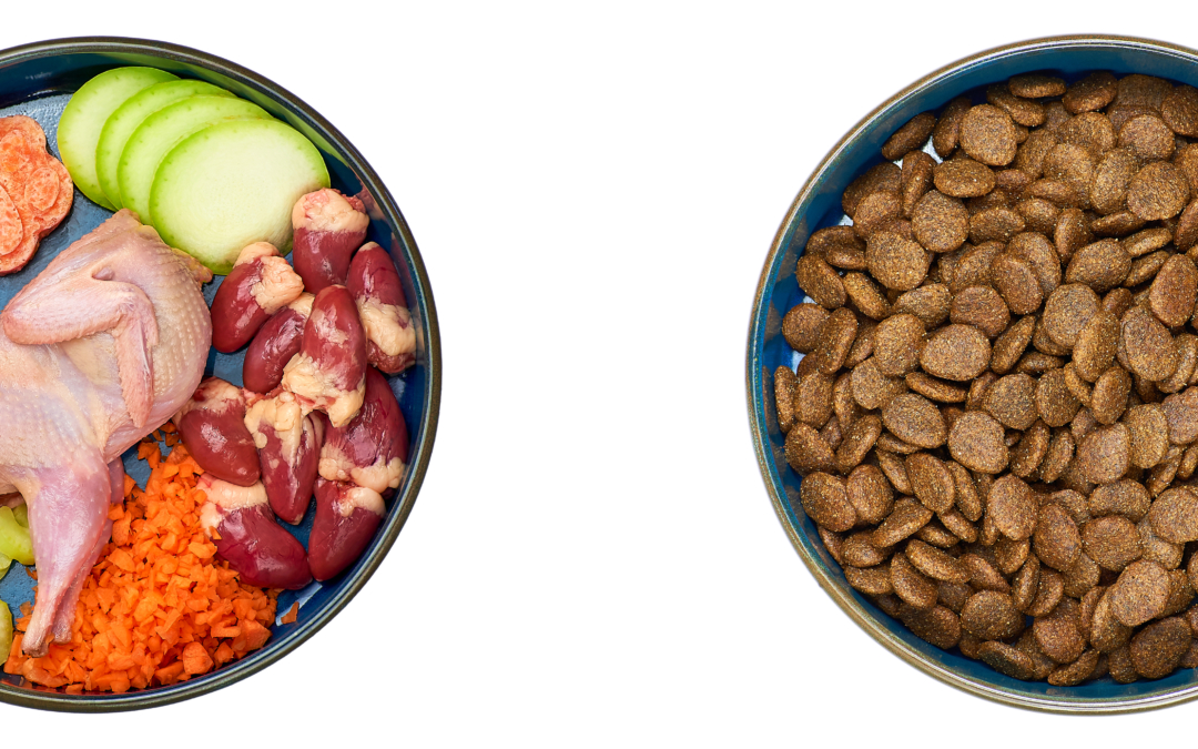 How to change your dog to a raw diet.