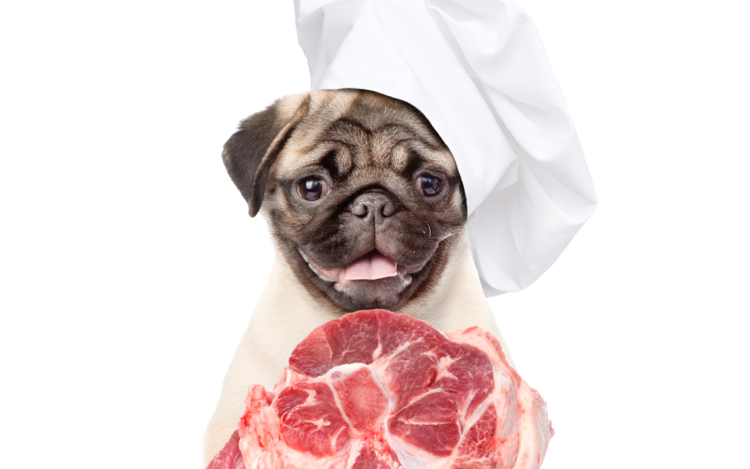 Is it safe to feed my dog or cat bones?